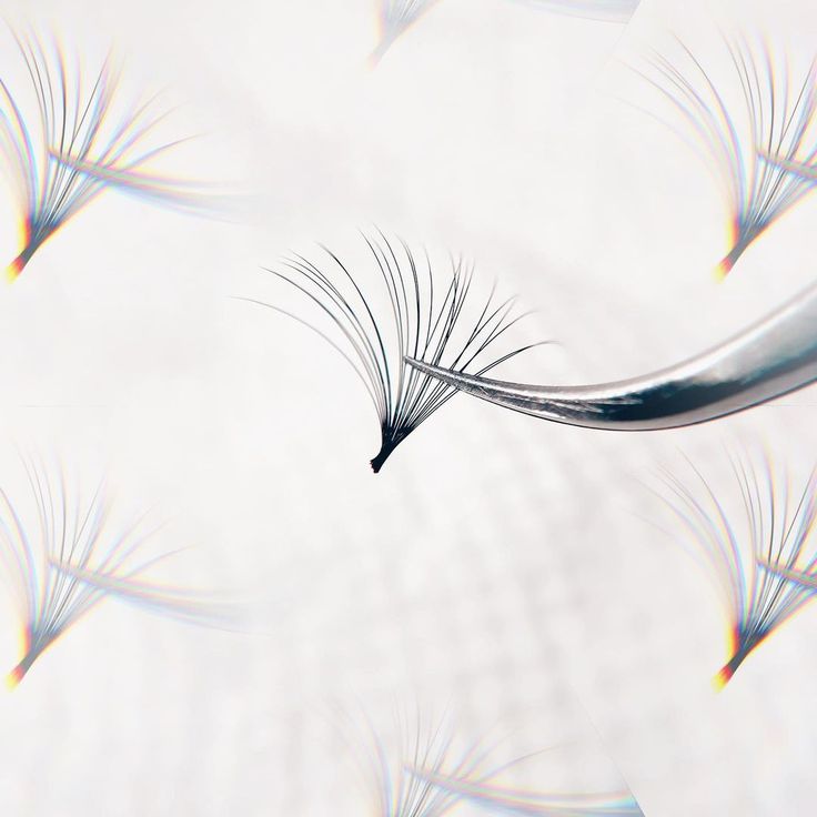 Lash Templates | Editable Canva Templates for Lash Businesses