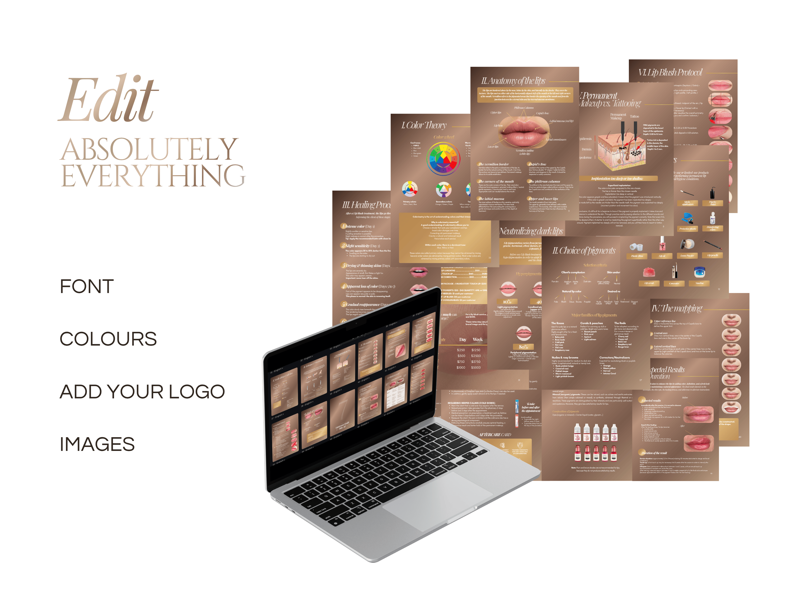 Lip Blush Training Manual Template | Editable PMU Lip Blush Training Kit Canva