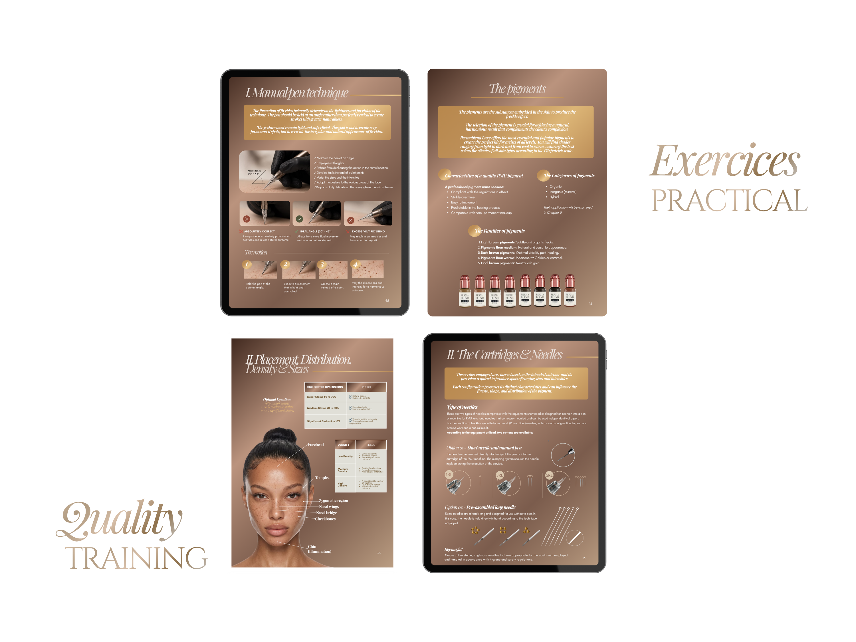 Faux Freckles Tattoo Training Manual Template | Editable PMU Training Kit Canva